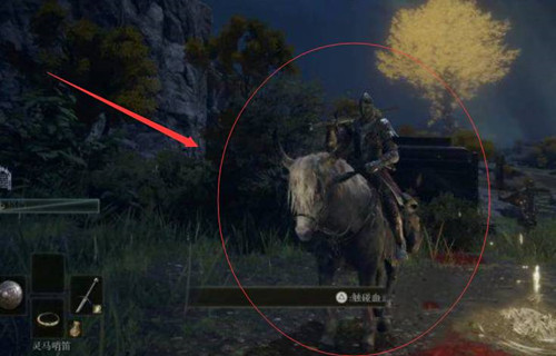 艾尔登法环怎么骑马？骑马快捷键设置方法[多图]图片5