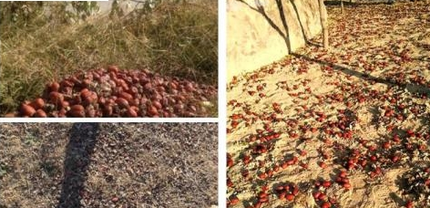 轻松筹官方下载 轻松筹官方下载