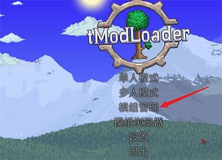 泰拉瑞亚灾厄mod怎么安装电脑1