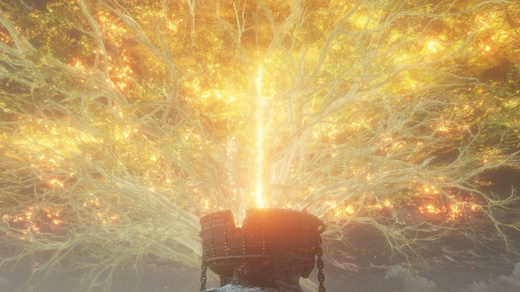 艾尔登法环武士加点