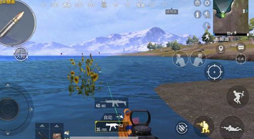 和平精英山谷向日葵在哪