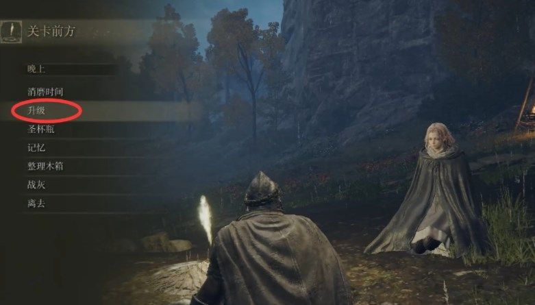 艾尔登法环怎么升级？快速提升等级攻略[多图]图片2