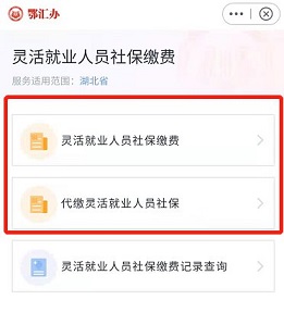 鄂汇办灵活就业人员社保缴费步骤4