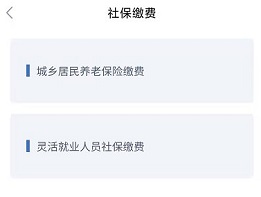 鄂汇办灵活就业人员社保缴费步骤3