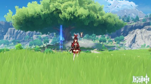 原神画外旅照第一天拍照怎么拍