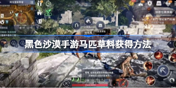 黑色沙漠手游马匹怎么升级 黑色沙漠手游马匹草料获取攻略