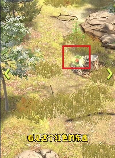 夺笋高手隐藏彩蛋大全 夺笋高手隐藏彩蛋都有哪些3.2