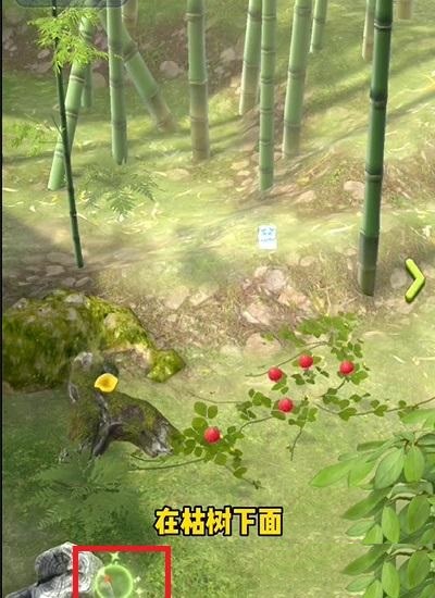 夺笋高手隐藏彩蛋大全 夺笋高手隐藏彩蛋都有哪些7