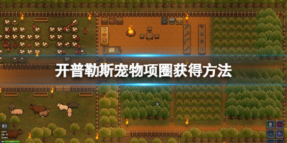 开普勒斯宠物项圈怎么获得