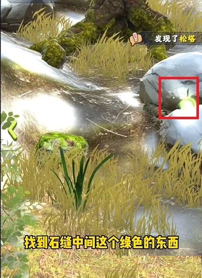 夺笋高手隐藏彩蛋大全 夺笋高手隐藏彩蛋都有哪些5