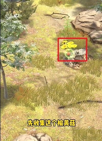 夺笋高手隐藏彩蛋大全 夺笋高手隐藏彩蛋都有哪些3.1