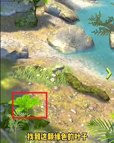 夺笋高手隐藏彩蛋大全 夺笋高手隐藏彩蛋都有哪些1