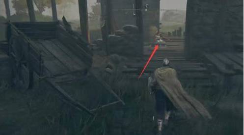 艾尔登法环灵魂水母骨灰怎么获得?艾尔登法环灵魂水母骨灰获得方法截图