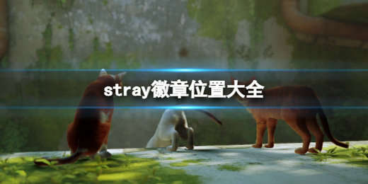 stray徽章有几个