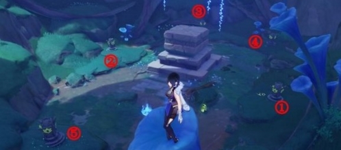 原神伞盖的荫蔽秘境