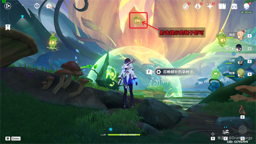 原神新芽迸发的曲调攻略