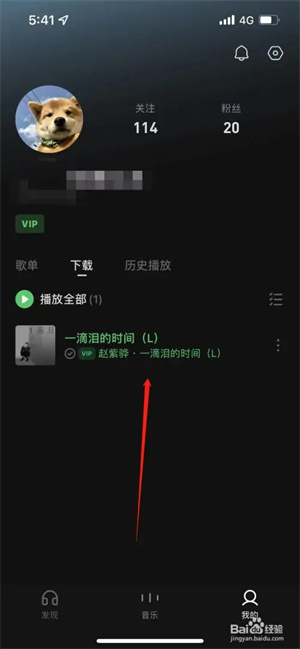 汽水音乐下载的音乐在手机哪里