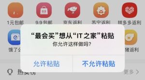 ios16.1新增app粘贴开关功能介绍2