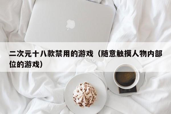 二次元十八款禁用的游戏(随意触摸人物内部位的游戏)
