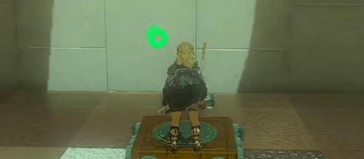 塞尔达王国之泪摩罗恩克神庙过关技巧 塞尔达王国之泪摩罗恩克神庙过关技巧