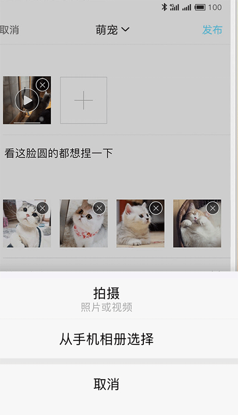 嘉兴第九区app