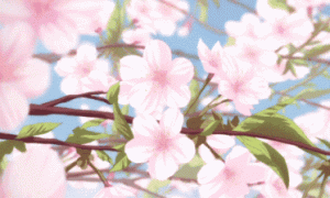花瓣小尾巴的樱花符号玫瑰花带尾巴的符号 花瓣小尾巴的樱花符号有颜色