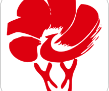 放新办核酸检测结果查询 1.1.0最新版