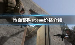 地面部队steam多少钱 地面部队价格介绍