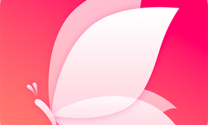 爱花间app手机版 13.3.00安卓版