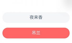 以下哪种植物不适合长期摆放在卧室