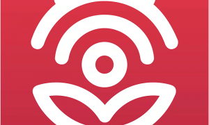 掌上新营口新版本