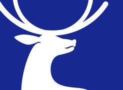 luckincoffee(瑞幸咖啡)