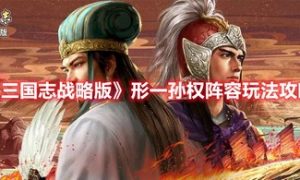 三国志战略版形孙权阵容   详细阵容攻略