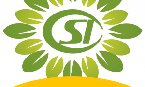 阜新新农保的app下载