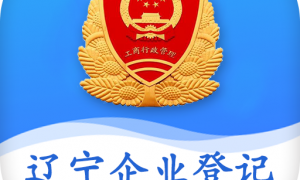 辽宁企业登记实名验证最新版本