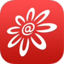 掌上生活app招商信用卡 8.5.13安卓版