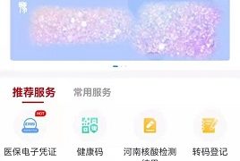 豫事办核酸检测结果查询方法 豫事办核酸检测结果查不到怎么办