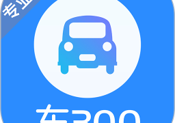 车300专业版app