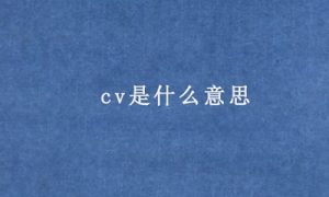 cv是什么意思 cv是什么意思网络用语