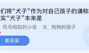 小鸡庄园今天答案最新4.30 小鸡庄园最新的答案4.30