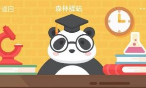 大熊猫90％以上的食物都是竹子你知道大熊猫属于目动物吗 啮齿目 食肉目 食草目