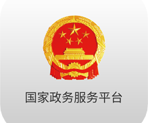 国家政务服务平台客户端 2.0.1安卓版