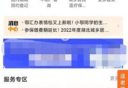 鄂汇办灵活就业人员社保缴费步骤 鄂汇办怎么查询社保缴费记录