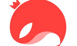 猎游陪玩app 4.7.5安卓版