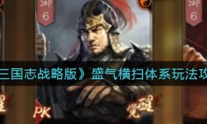 三国志战略版盛气横扫体系怎么玩