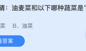 小鸡庄园最新的答案5.24 小鸡庄园今天答案最新5.24