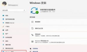 windows11更新怎么永久关闭 windows11更新永久关闭方法