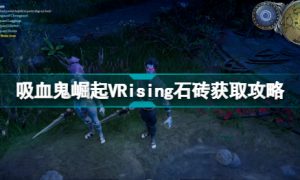 VRising石砖怎么获得