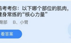 小鸡庄园今天答案最新5.19 小鸡庄园最新的答案5.19