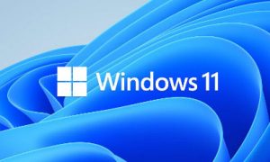 windows11怎么连接wifi windows11连接wifi在哪